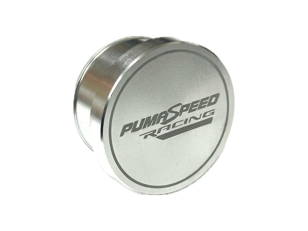 PUMASPEED RACING FIESTA ST180 SYMPOSER DELETE