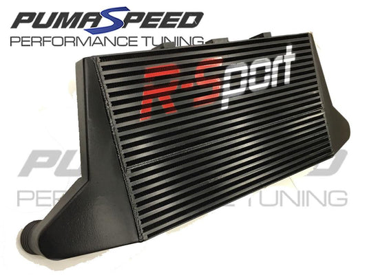 R-SPORT PRO 450 GEN2 INTERCOOLER FIESTA ST180 - NO LOGO